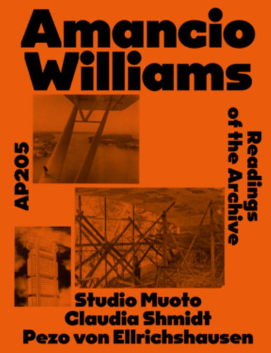 AP 205: Amancio Williams