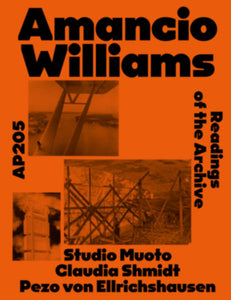 AP 205: Amancio Williams