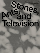 Daniel Muzyczuk & Karol Hordziej (Eds.): Stones, Ants and Television: Photographic Works of Zygmunt Rytka 1971 - 2010