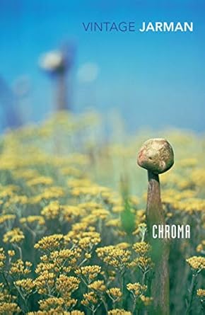 Derek Jarman: Chroma