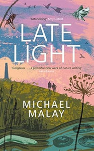 Michael Malay: Late Light