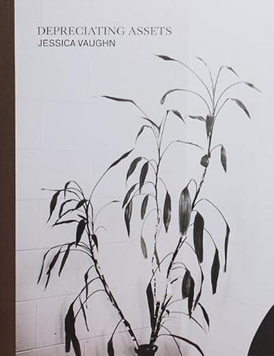 Jessica Vaughn: Depreciating Assets