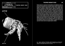 Nicolas Nova: A Bestiary of the Anthropocene: Hybrid Plants, Animals, Minerals, Fungi, and Other Specimens