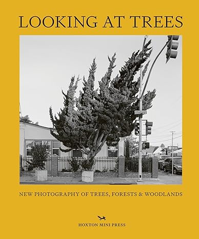 Sophie Howarth: Looking at Trees