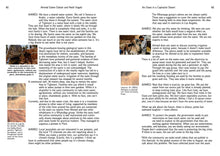 Henriëtte Waal & Clemens Driessen: Water Works: Ecosocial Design