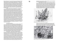 Emerging Ecologies: Architecture and the Rise of Environmentalism