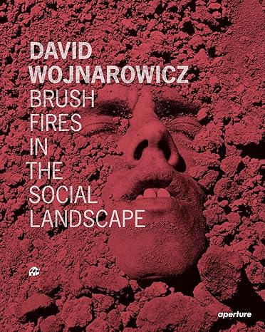 David Wojnarowicz: Brush Fires in the Social Landscape