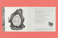 Set Margins' #115: Slow Earth Companion: Rooted Wayfinding in Fragmentary Times