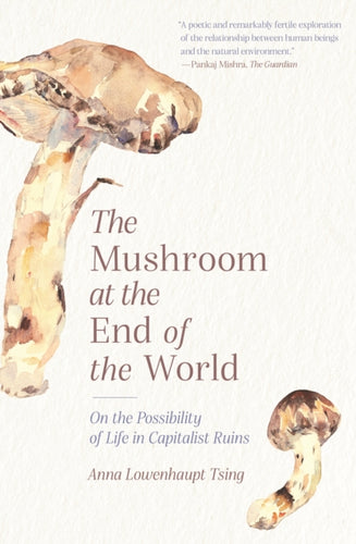 Anna Lowenhaupt Tsing: The Mushroom at the End of the World