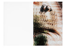 K8 Hardy: Positions [SIGNED COPY]