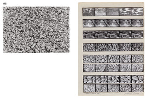 Daniel Muzyczuk & Karol Hordziej (Eds.): Stones, Ants and Television: Photographic Works of Zygmunt Rytka 1971 - 2010