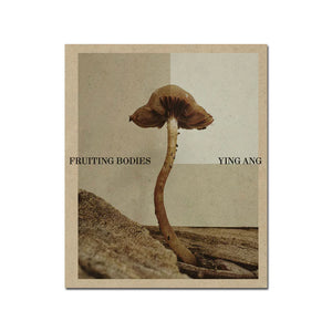Ying Ang: Fruiting Bodies