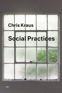 Chris Kraus: Social Practices