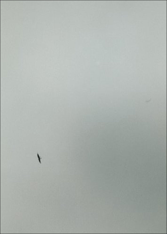 Felix Gonzalez-Torres: America – ICA Bookshop