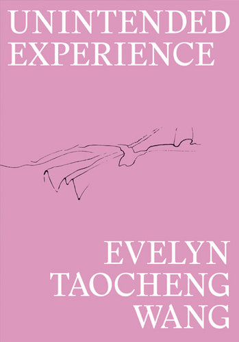 Evelyn Taocheng Wang: Unintended Experience (A Job In Amsterdam)