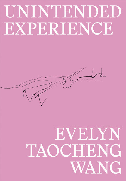 Evelyn Taocheng Wang: Unintended Experience (A Job In Amsterdam)